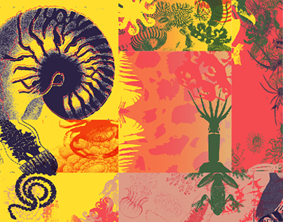 Digigrafías MC (M1)