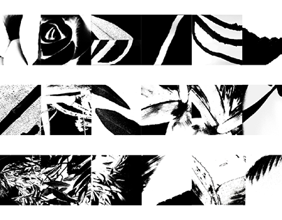 Tiras Universo Vegetal MC (M1)