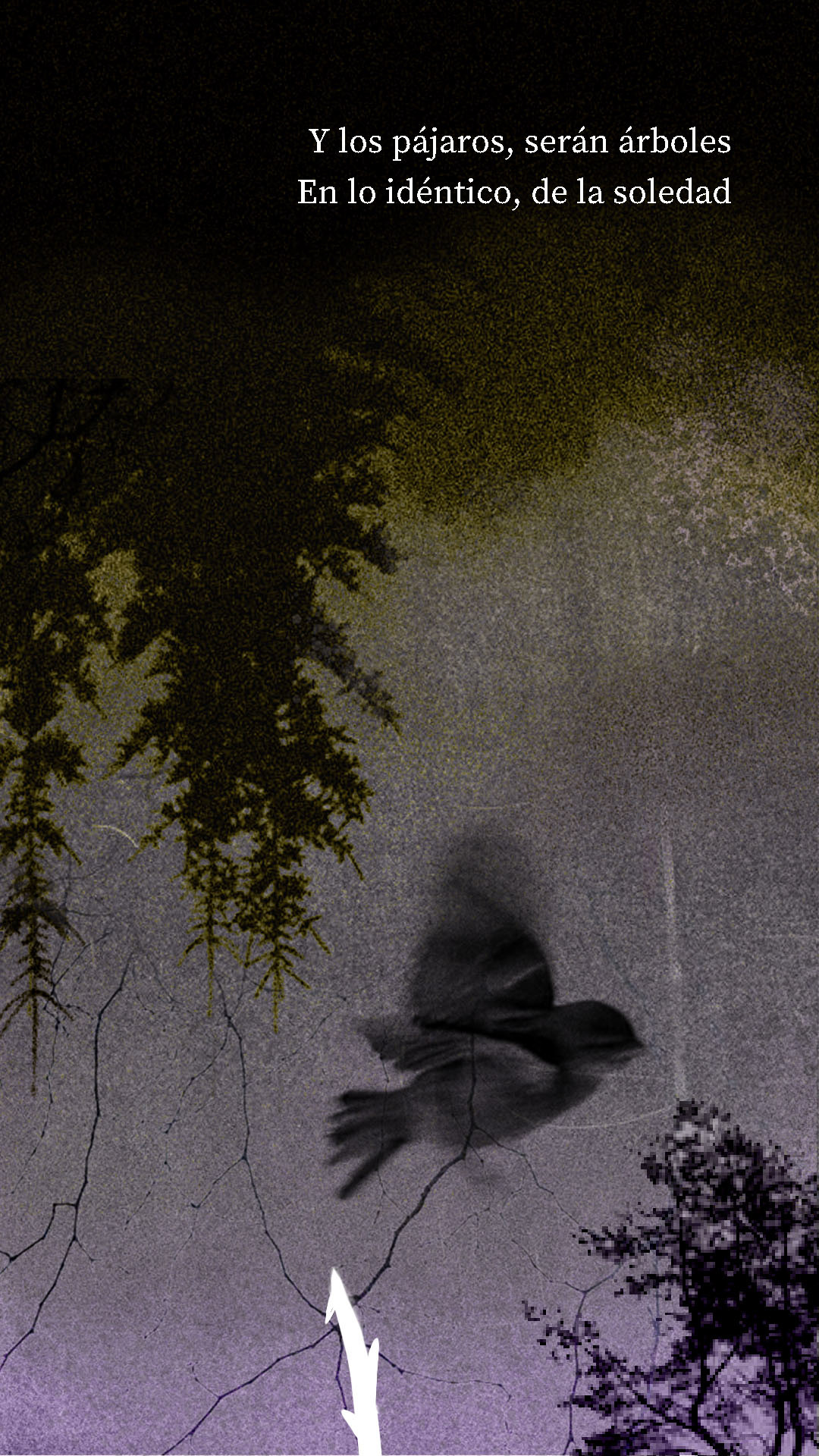 Image may contain: tree