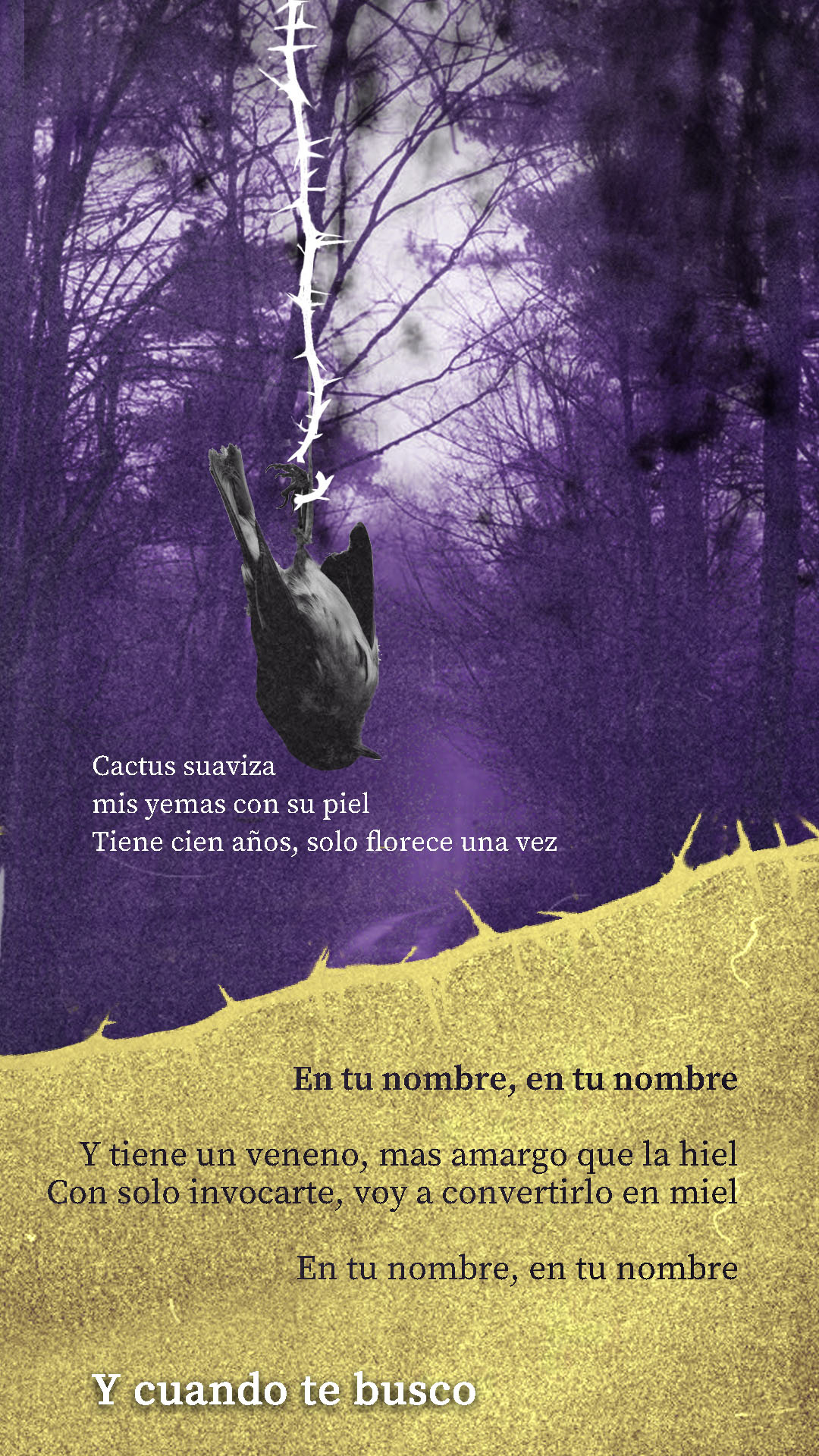 Image may contain: book